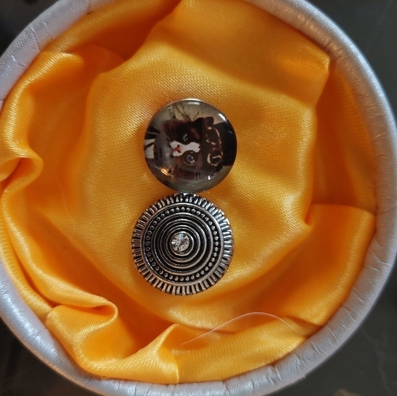 Interchangeable Unisex Pendant Bracelet (includes 2 pendants) - Picture 5 of 8